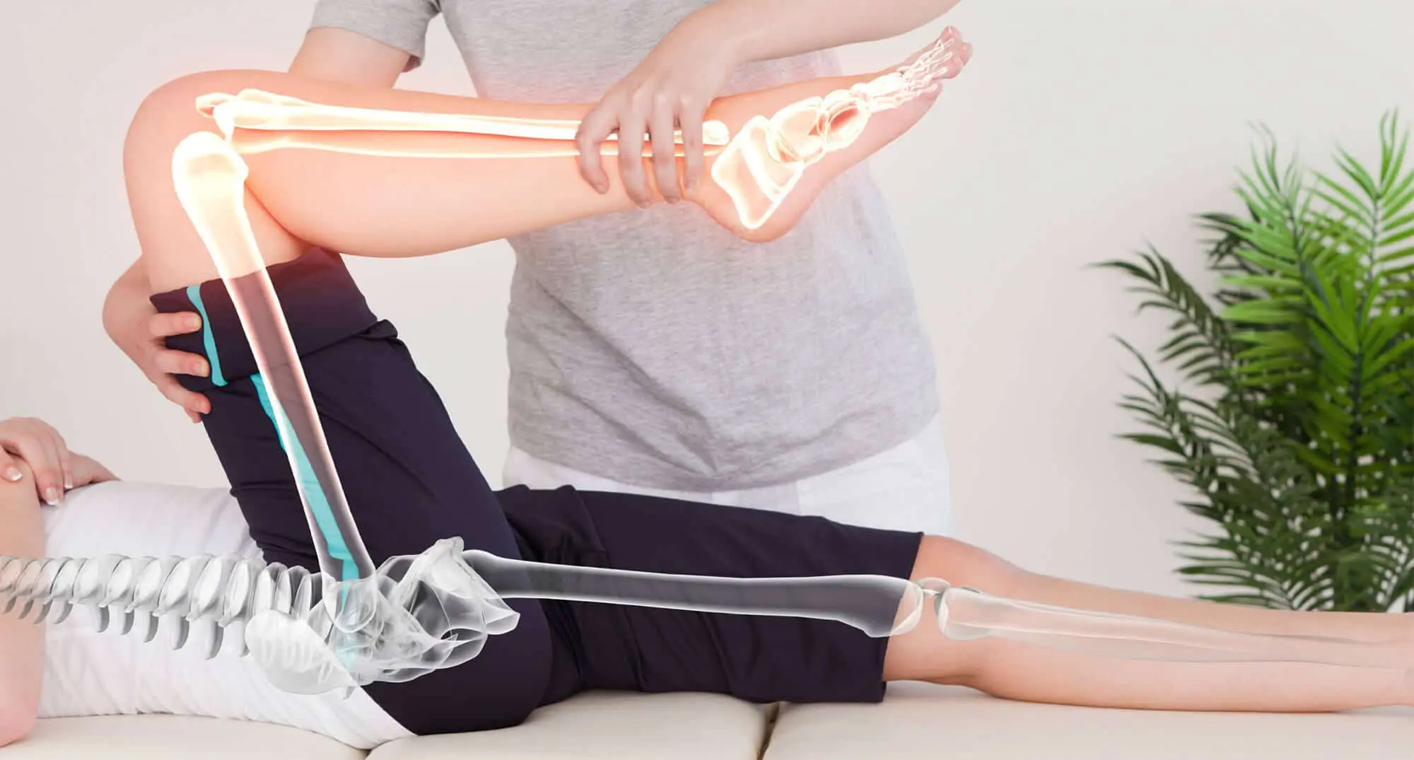 Osteopathy Treatment