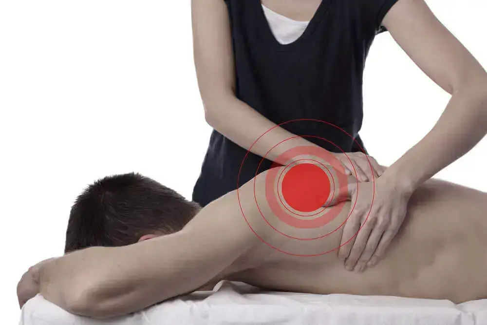 Best Massage Therapy in Flamborough