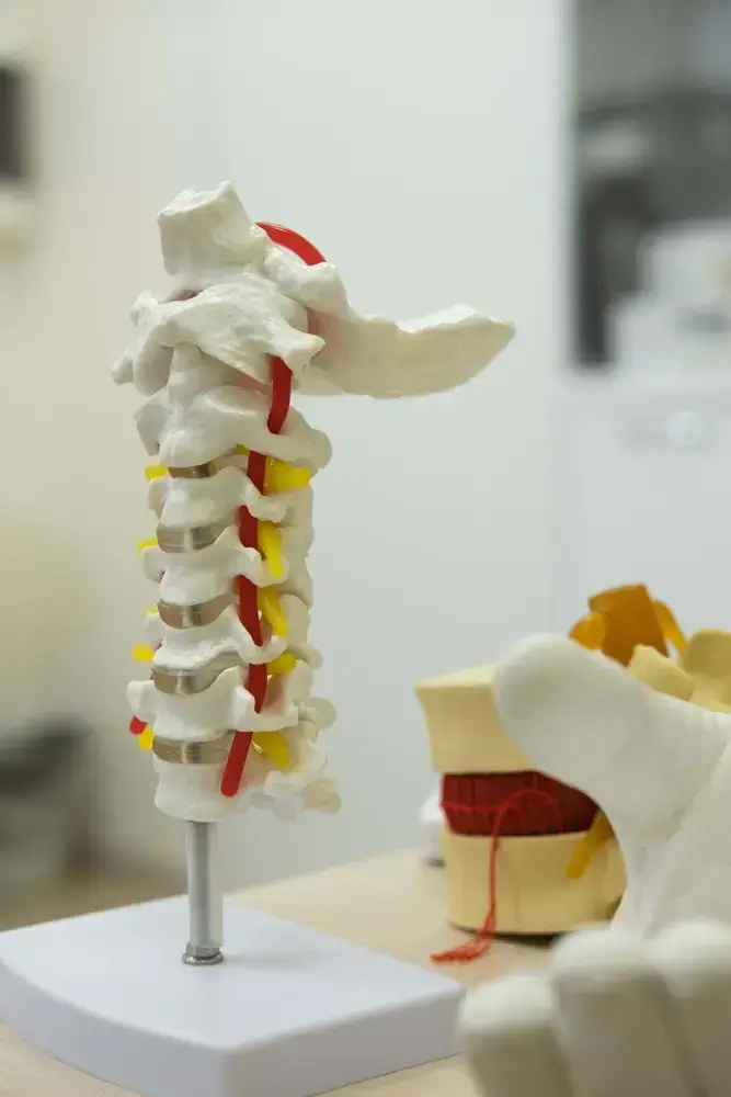 Osteopathy-for-Circulatory-problems