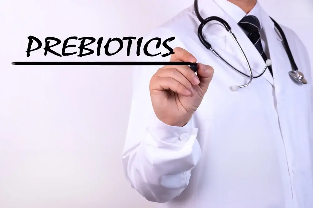 Candida and leaky gut