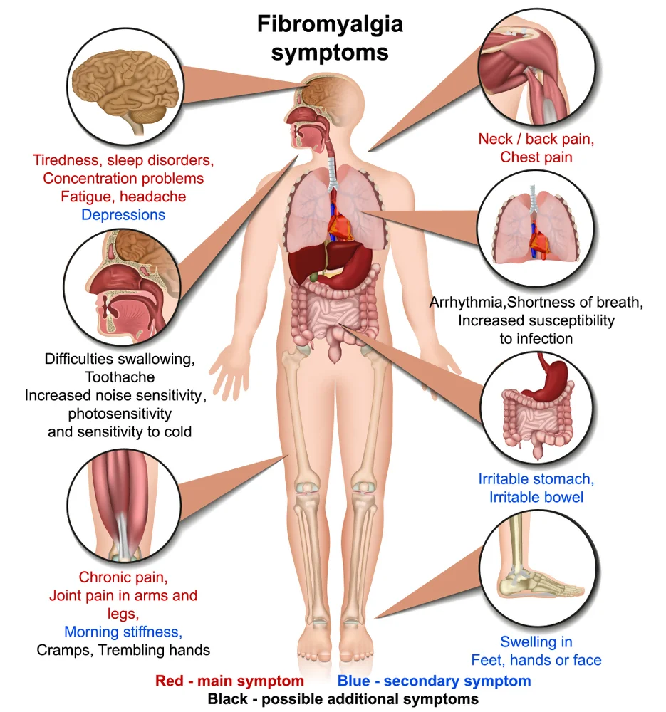 Chronic fatigue and fibromyalgia