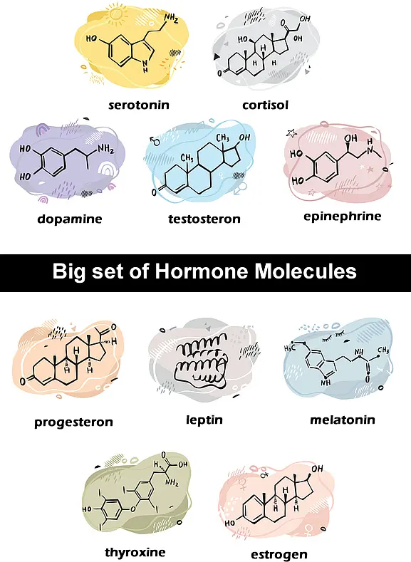 Hormones-Causes-Acne